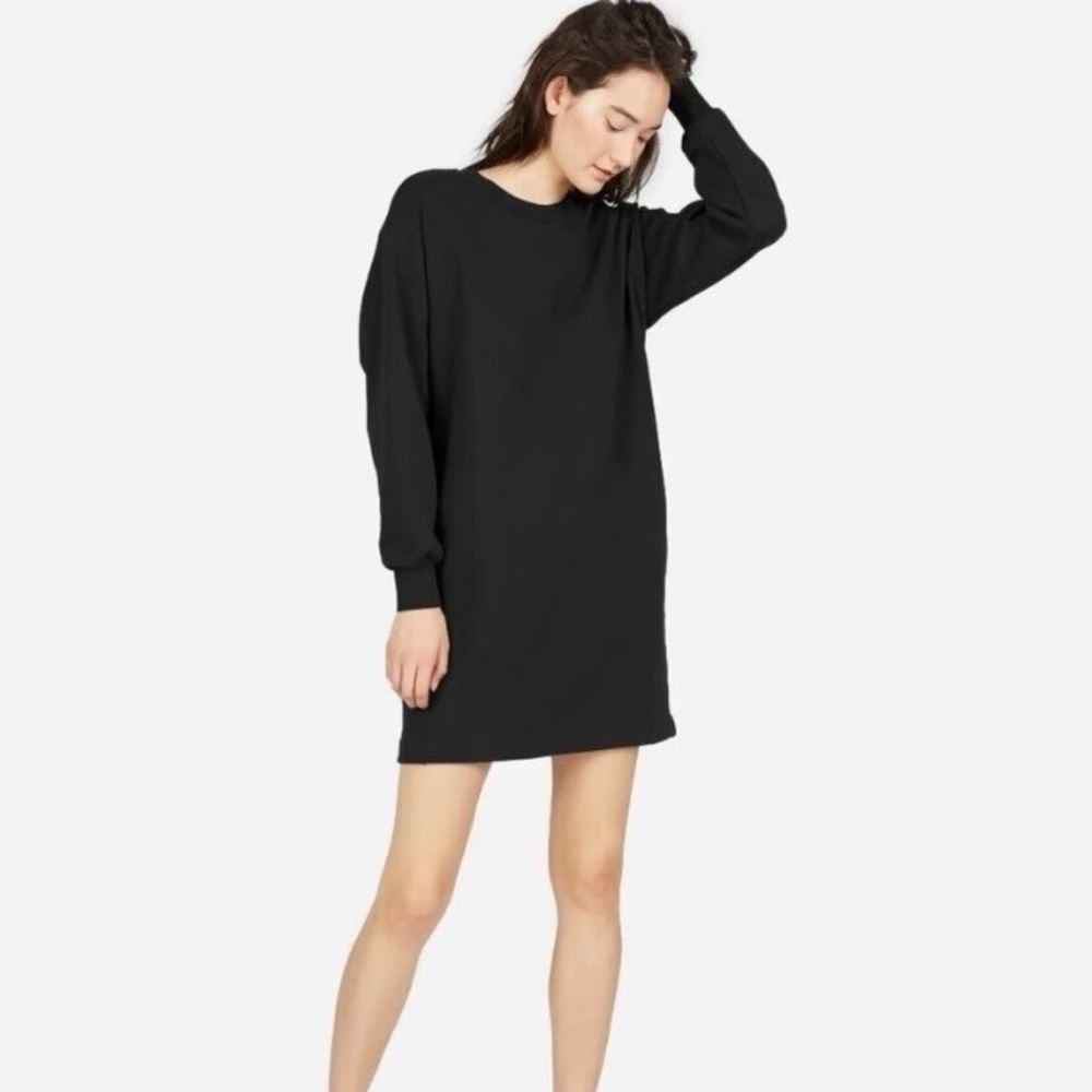 Everlane Sweater Dress
